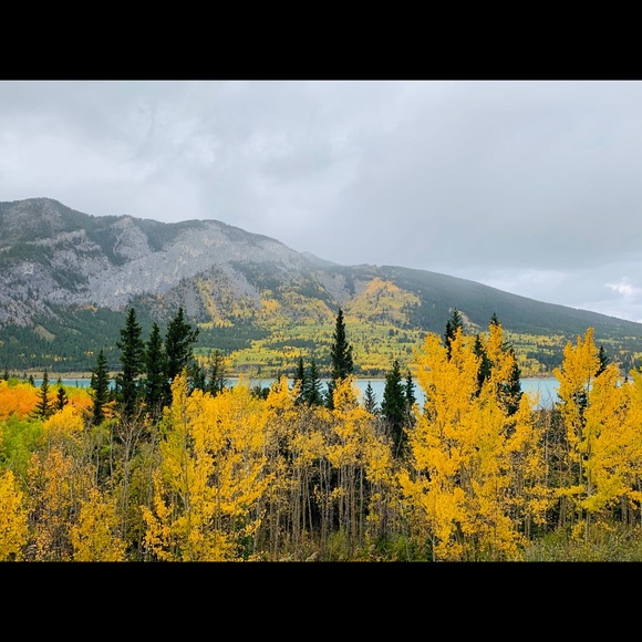 Meet your Posher, Morgan - Picture 1 of 1